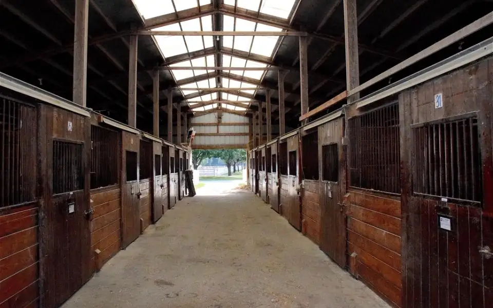 A row of horses looking over their stall doors in a wooden barn aisle, with green Fraser Valley pasture and grey rain clouds visible through the open end of the barn