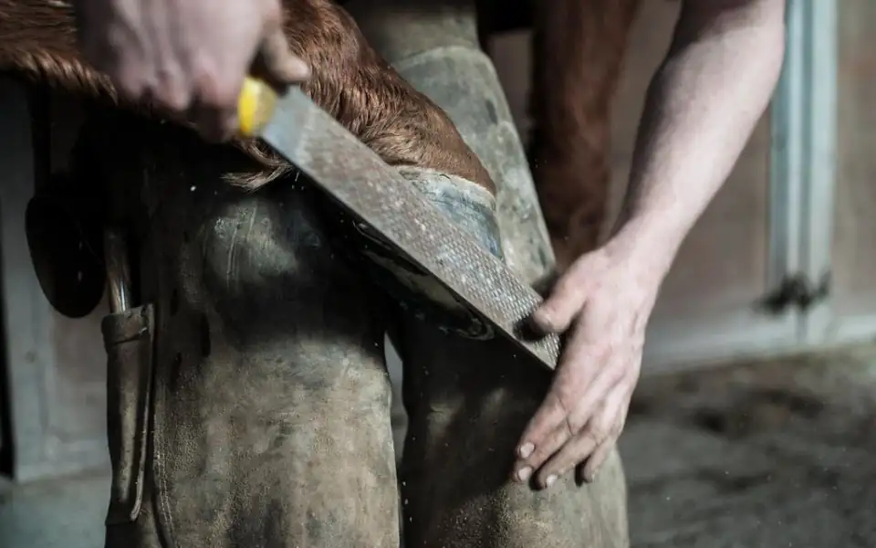 A person brushing the shoulder of a chestnut horse tied in a barn aisle, with a hoof pick and grooming tote on the floor beside them